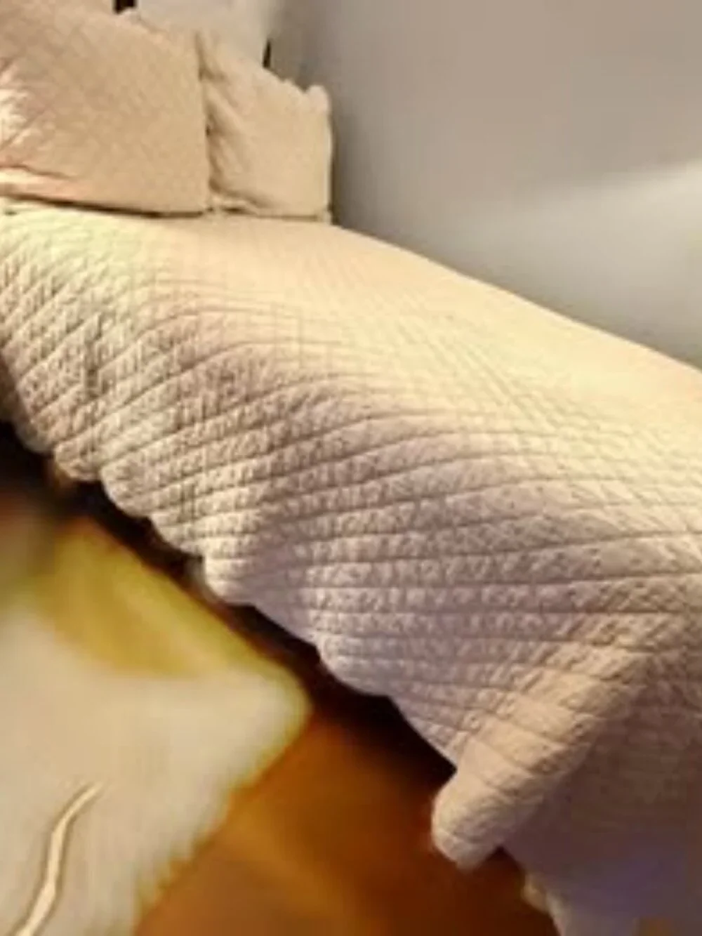 Company Store Full/Queen Comforter and Standard Pillow Shams